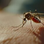 Prevención natural del dengue en el norte del Perú con plantas repelentes, peces larvívoros y gestión ambiental