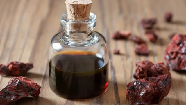 Sangre de Grado beneficios y usos para la salud
